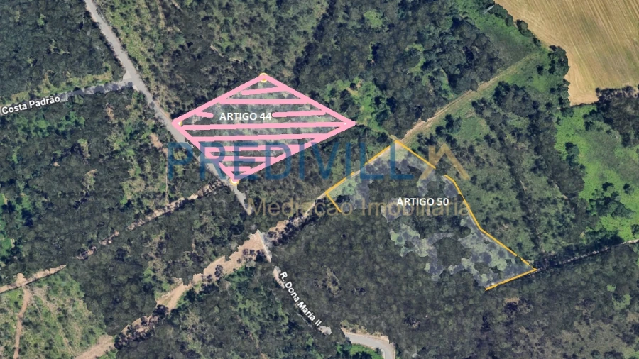 Terreno Agricola ou Rústico para Venda em Vilar e Mosteiró