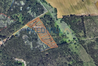 Terreno Agricola ou Rústico para Venda em Vilar e Mosteiró