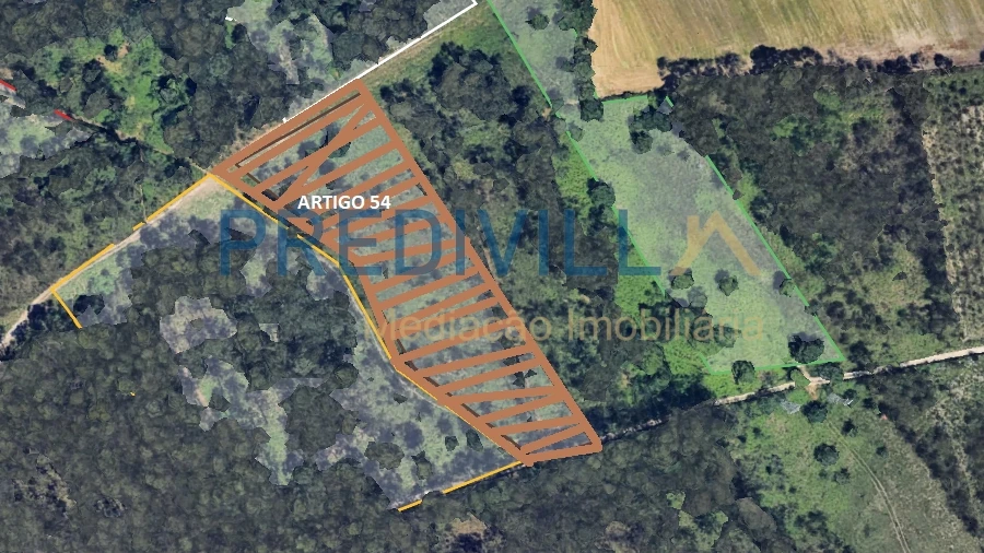 Terreno Agricola ou Rústico para Venda em Vilar e Mosteiró