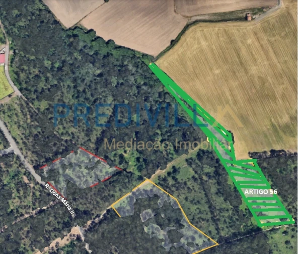 Terreno Agricola ou Rústico para Venda em Vilar e Mosteiró