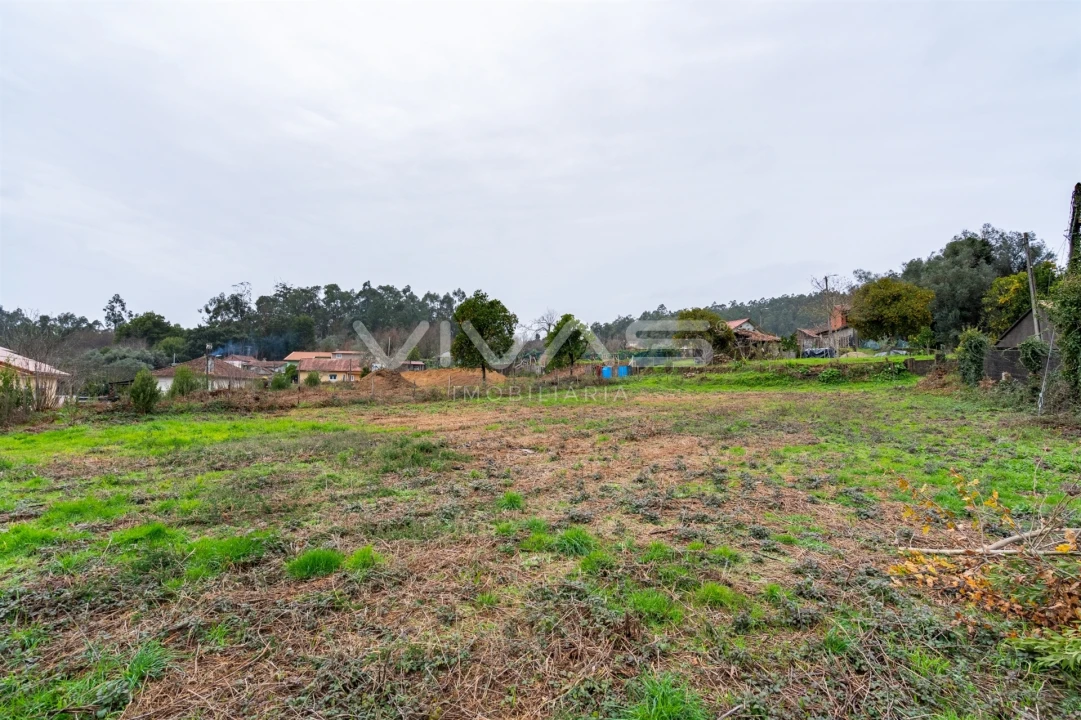 Terreno para Venda em Freiriz Foto 19
