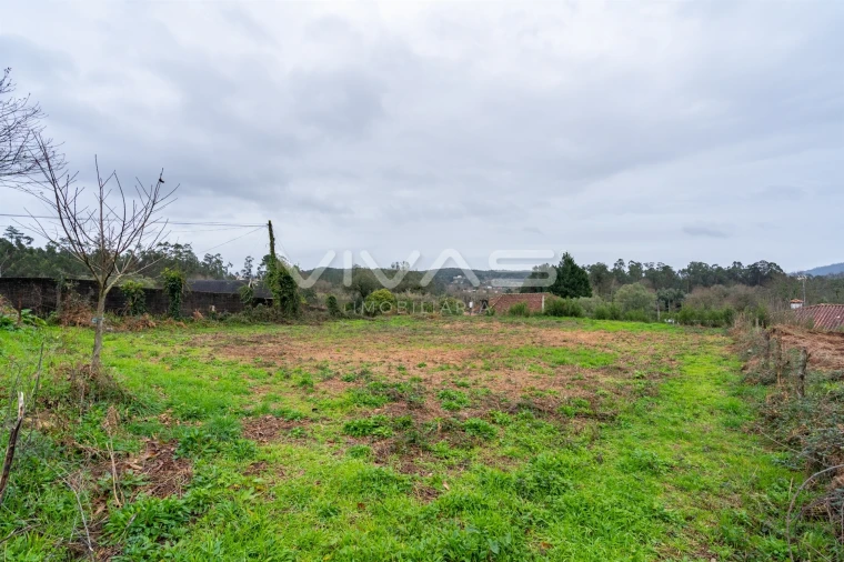 Terreno para Venda em Freiriz Foto 16