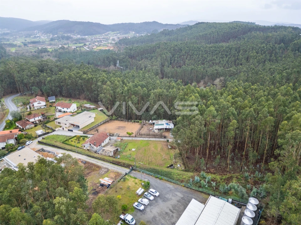 Terreno para Venda em Freiriz Foto 11