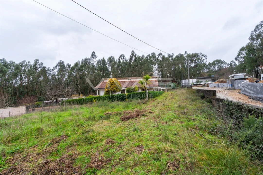 Terreno para Venda em Freiriz Foto 3