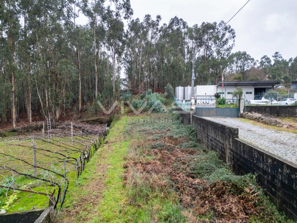 Terreno para Venda em Freiriz Foto 9