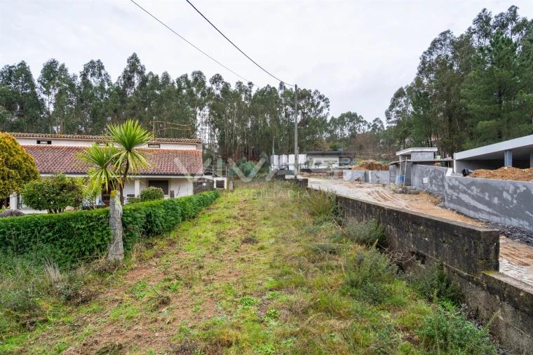 Terreno para Venda em Freiriz Foto 12