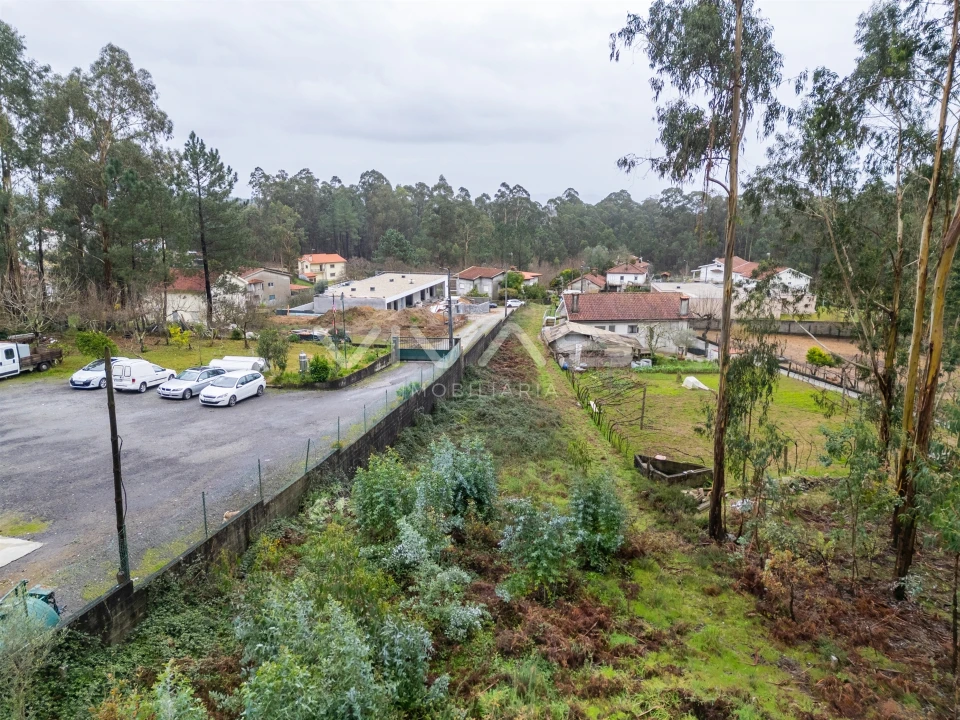 Terreno para Venda em Freiriz Foto 10