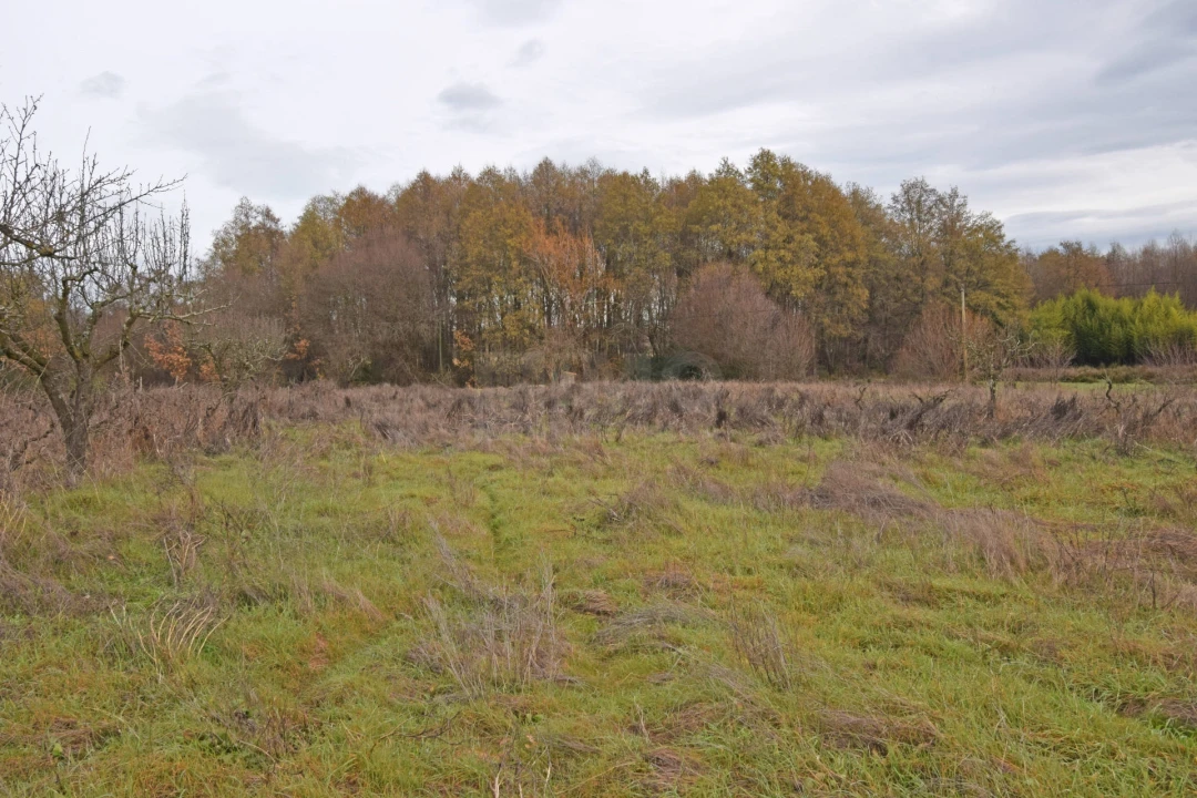Quinta T2 para Venda em Peraboa Foto 12