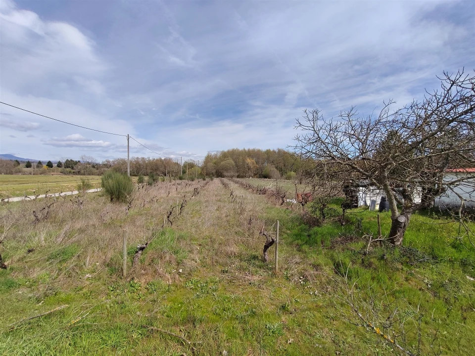 Quinta T2 para Venda em Peraboa Foto 43