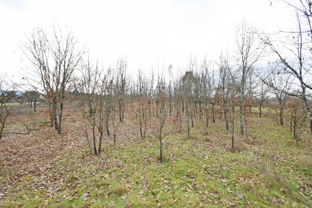 Quinta T2 para Venda em Peraboa Foto 30