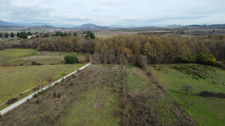 Quinta T2 para Venda em Peraboa Foto 9