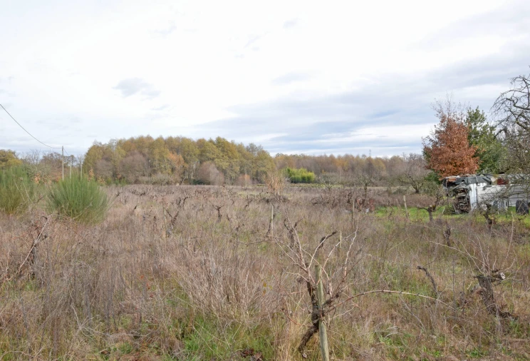 Quinta T2 para Venda em Peraboa Foto 27