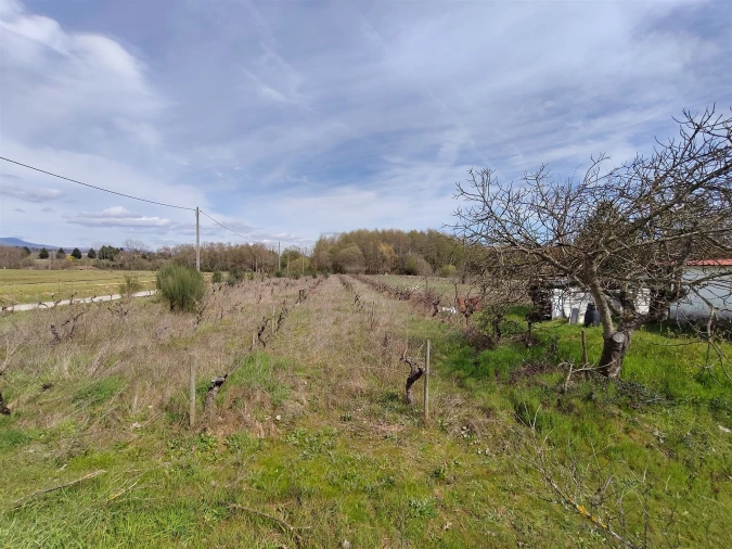 Quinta T2 para Venda em Peraboa Foto 43