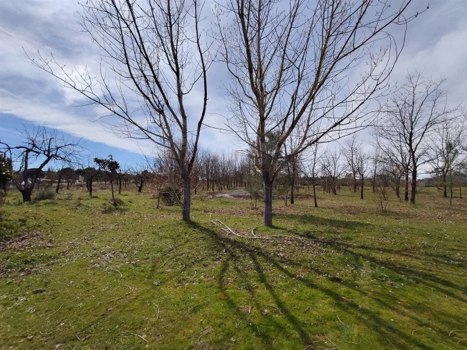 Quinta T2 para Venda em Peraboa Foto 41