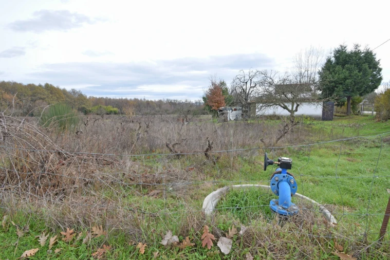 Quinta T2 para Venda em Peraboa Foto 32