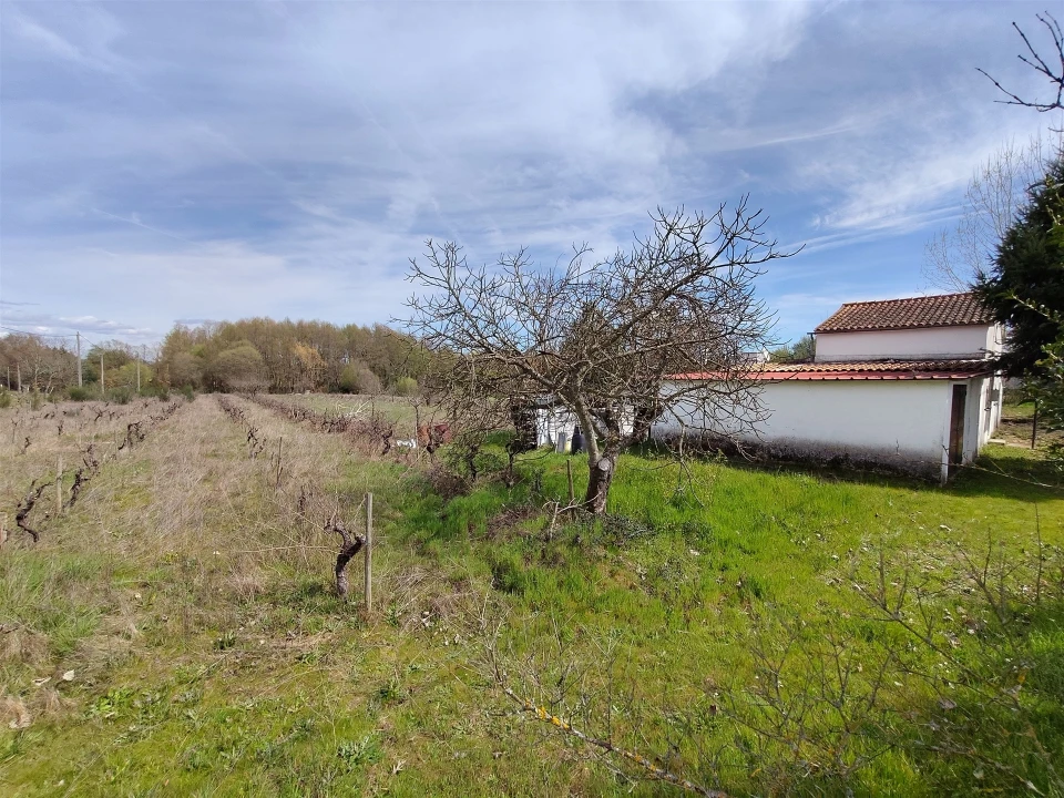 Quinta T2 para Venda em Peraboa Foto 42