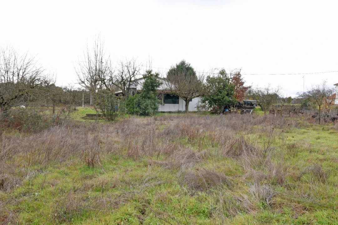 Quinta T2 para Venda em Peraboa Foto 13