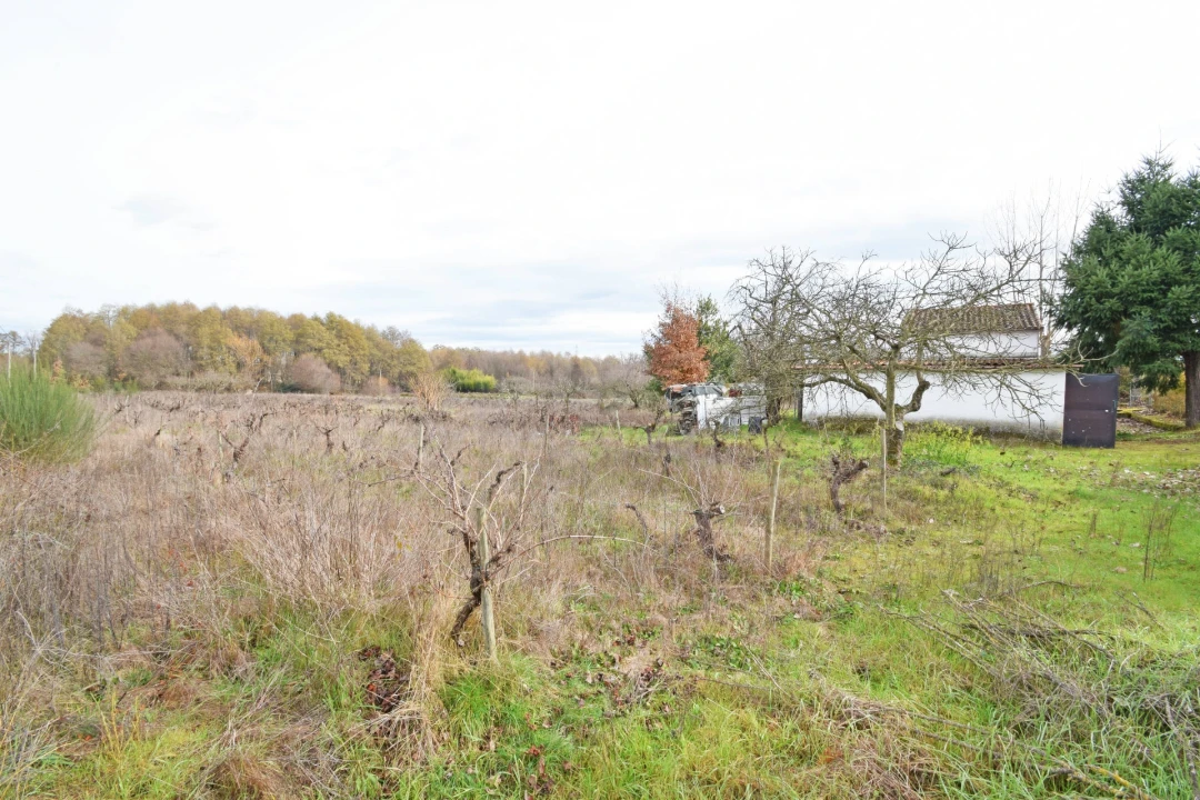 Quinta T2 para Venda em Peraboa Foto 28