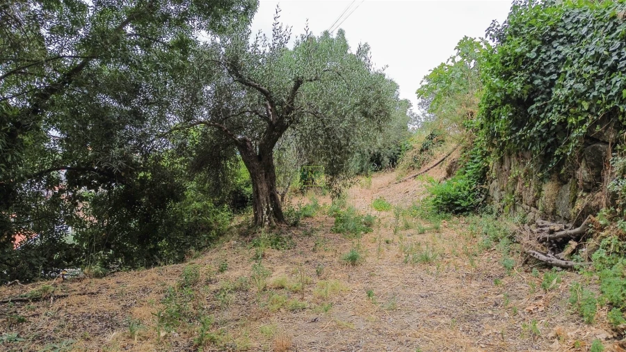 Moradia T5 para Venda em Alpedrinha Foto 33