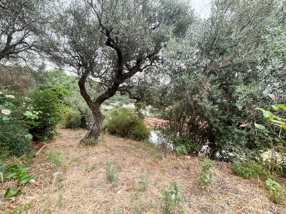 Moradia T5 para Venda em Alpedrinha Foto 95