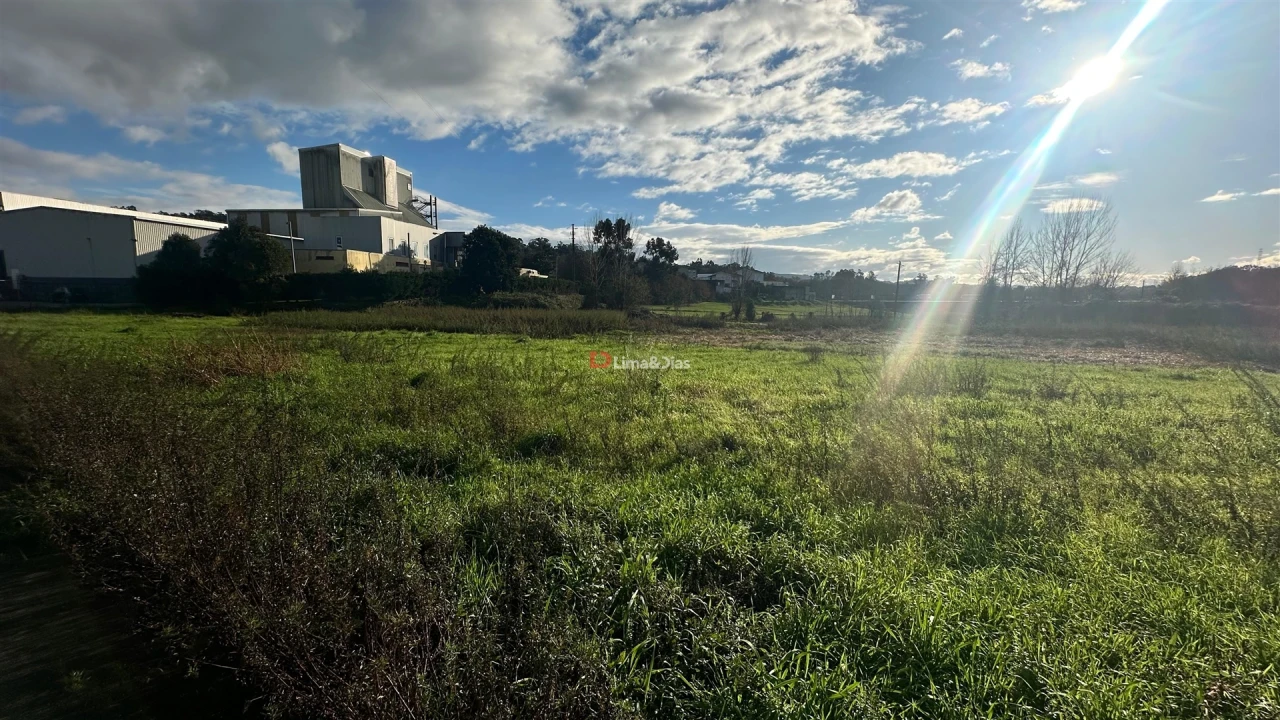 Terreno Agricola ou Rústico para Venda em Paredes Foto 3