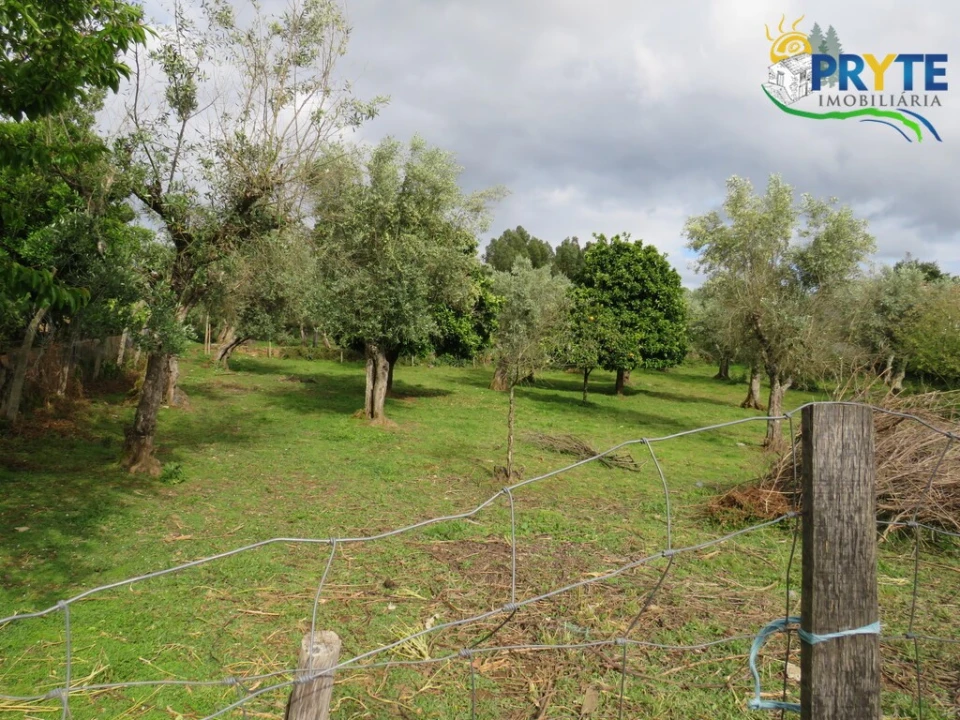 Terreno para Venda em Cabeçudo Foto 1