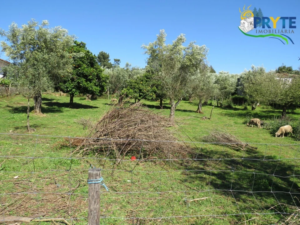 Terreno para Venda em Cabeçudo Foto 9