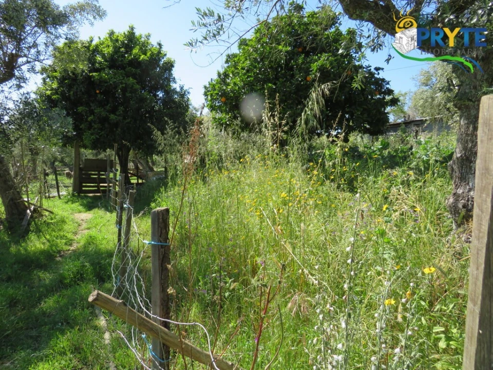 Terreno para Venda em Cabeçudo Foto 16