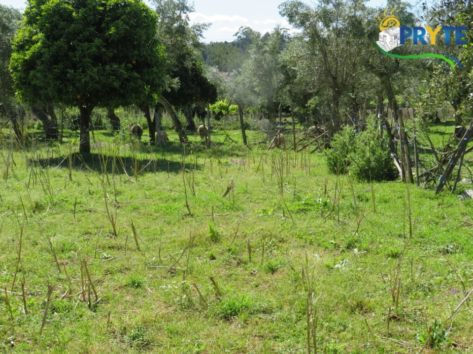 Terreno para Venda em Cabeçudo Foto 21