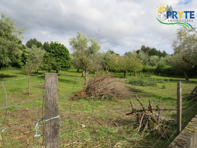 Terreno para Venda em Cabeçudo Foto 2