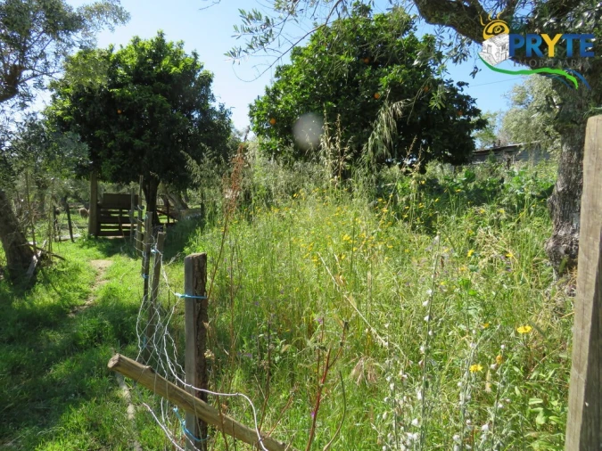 Terreno para Venda em Cabeçudo Foto 16