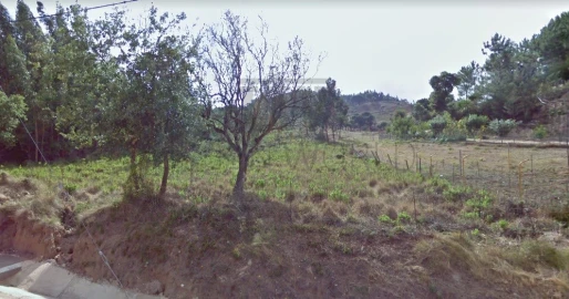 Terreno Agricola ou Rústico para Venda em Venda do Pinheiro e Santo Estêvão das Galés
