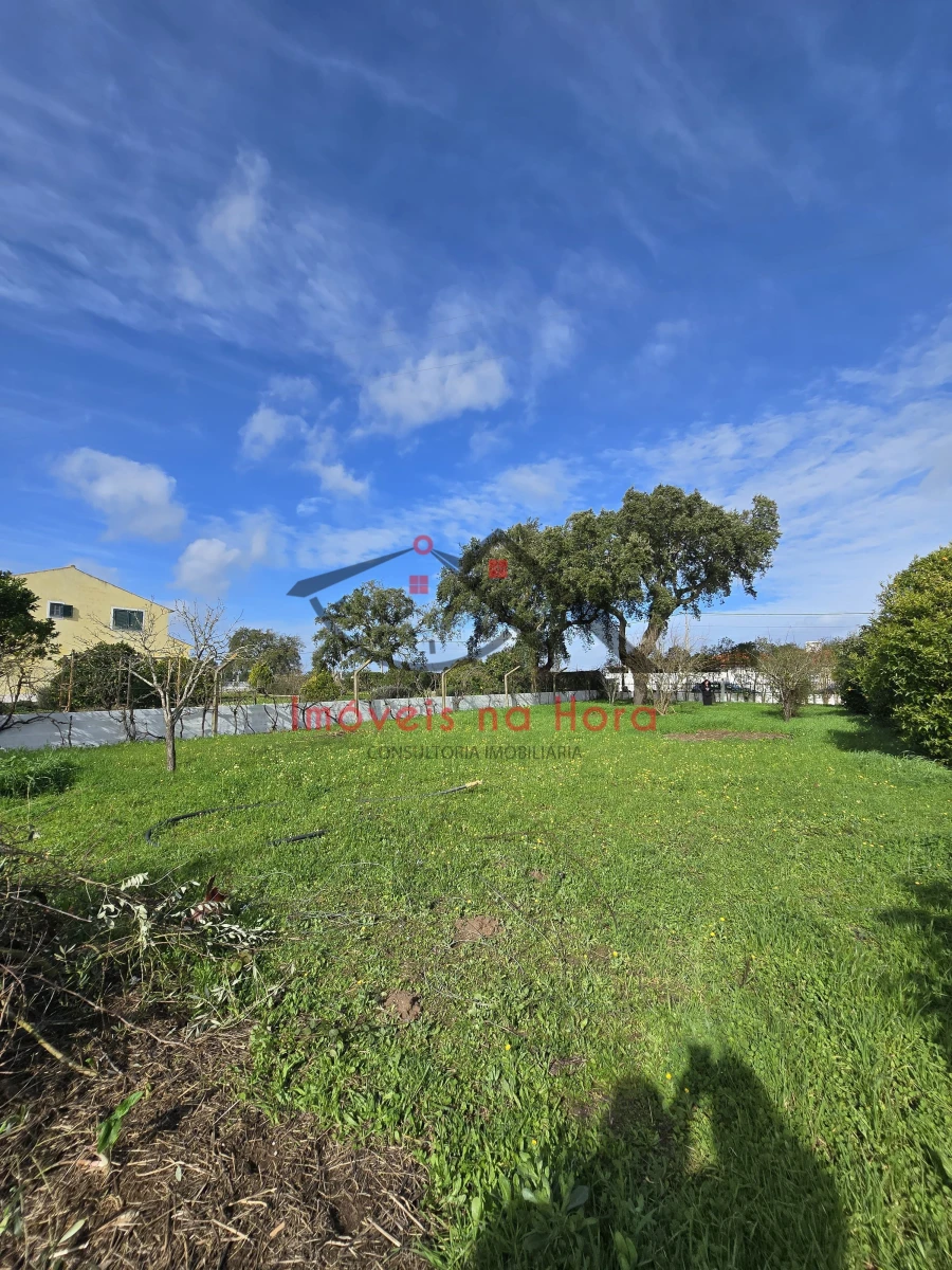 Moradia T3 para Venda em Glória do Ribatejo e Granho Foto 6