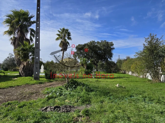 Moradia T3 para Venda em Glória do Ribatejo e Granho Foto 2