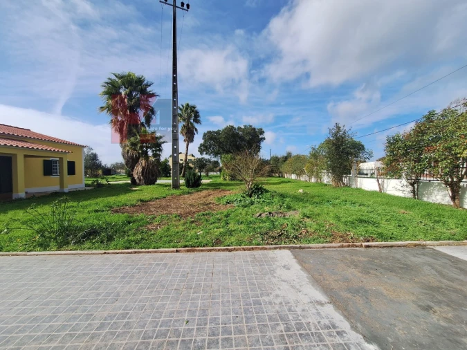 Moradia T3 para Venda em Glória do Ribatejo e Granho Foto 9