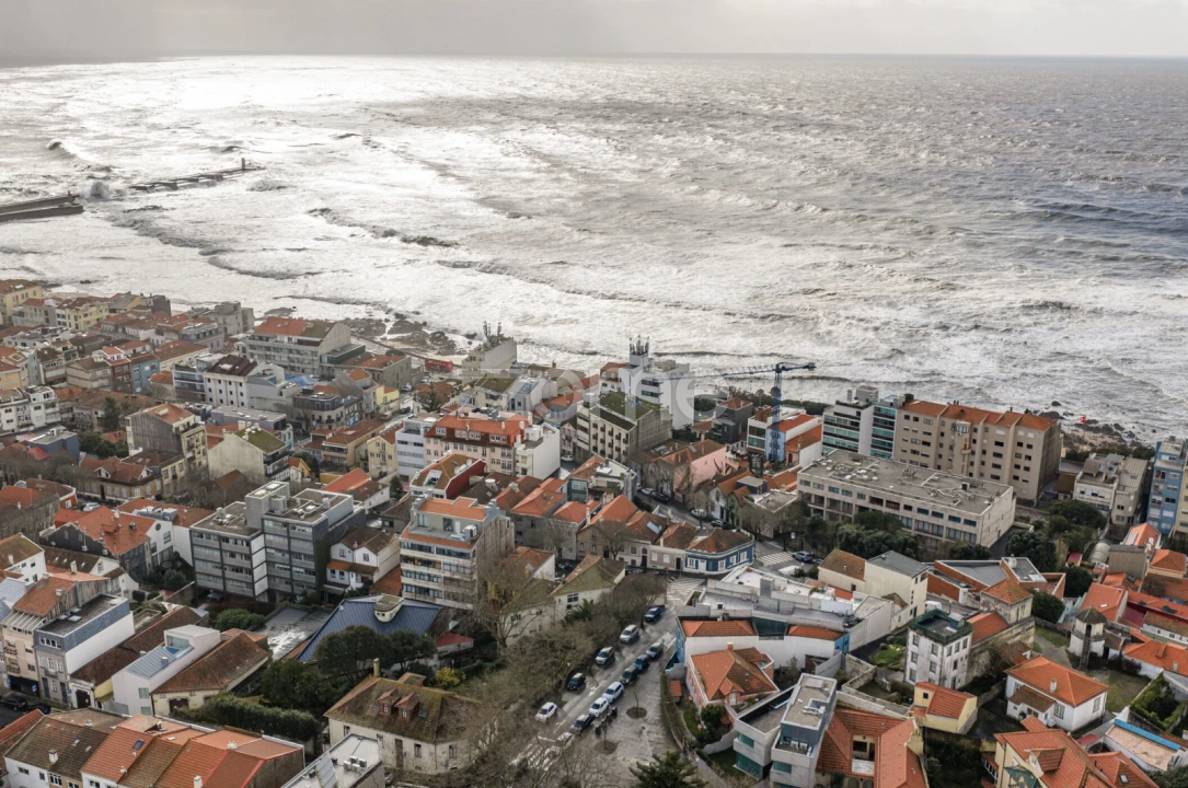 Apartamento T1 para Arrendamento em Aldoar, Foz do Douro e Nevogilde Foto 24
