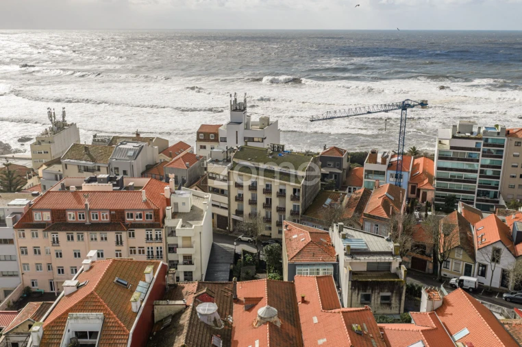 Apartamento T1 para Arrendamento em Aldoar, Foz do Douro e Nevogilde Foto 22