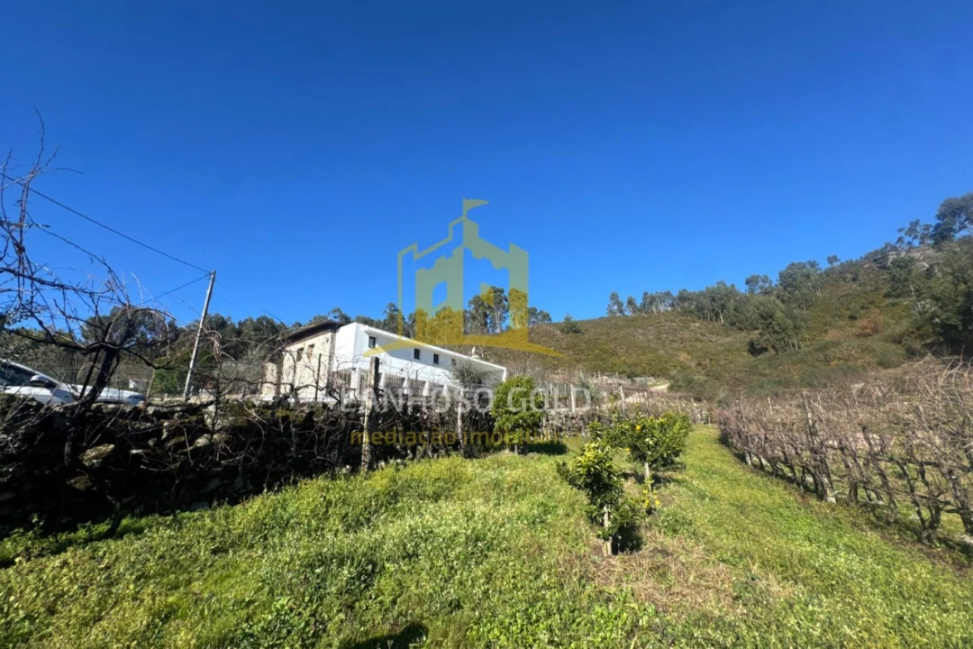 Terreno para Venda em Travassos Foto 3