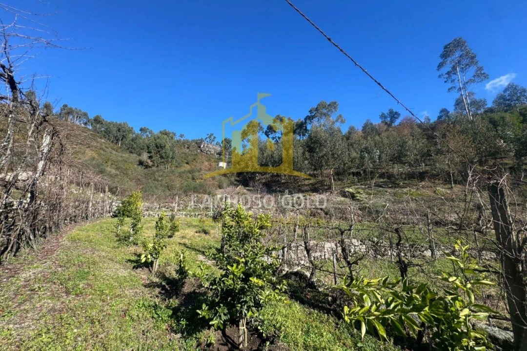 Terreno para Venda em Travassos Foto 4