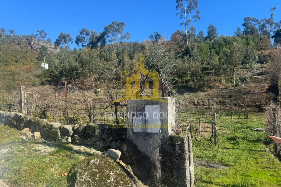 Terreno para Venda em Travassos Foto 6