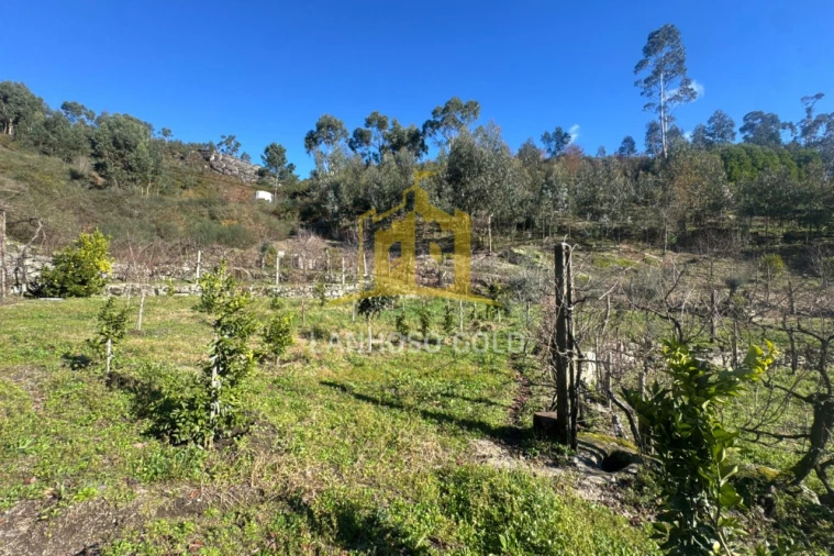 Terreno para Venda em Travassos Foto 1