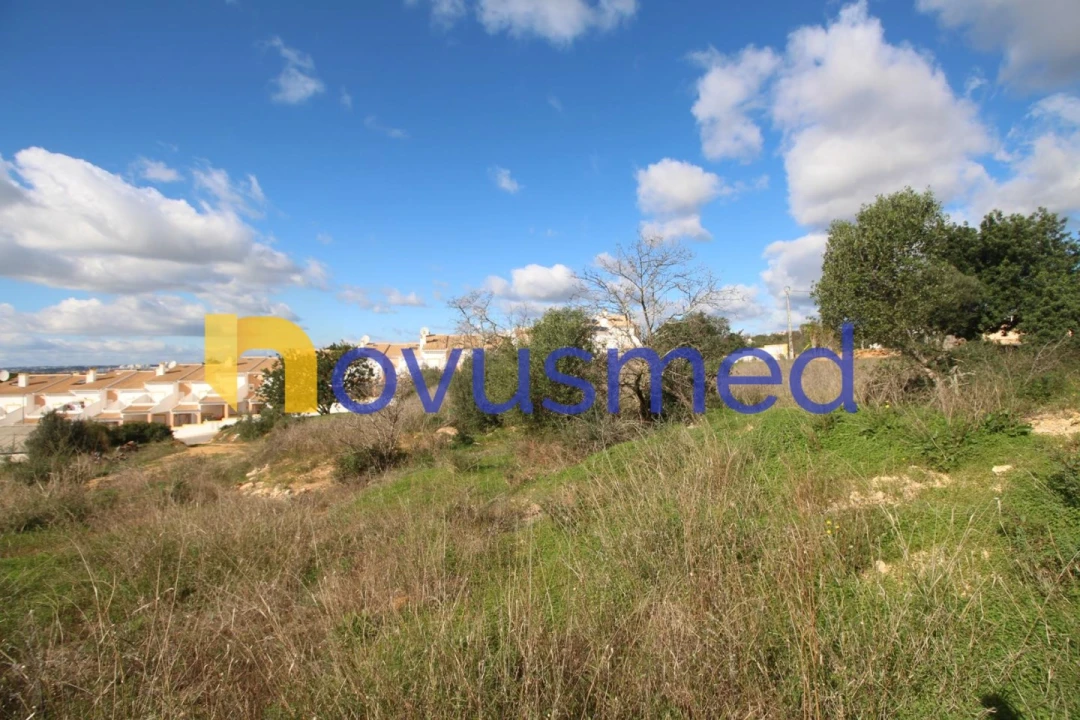 Terreno para Venda em Guia Foto 16