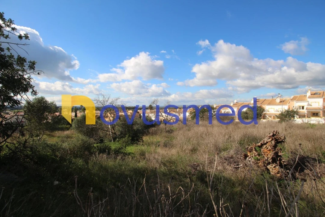 Terreno para Venda em Guia Foto 17