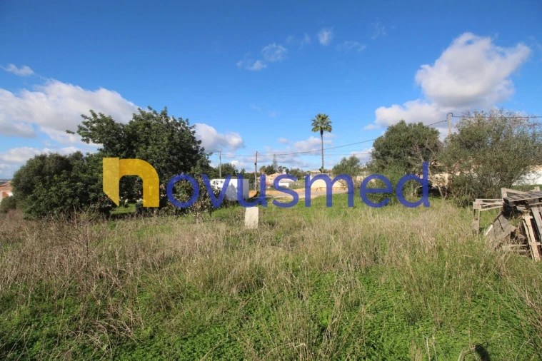 Terreno para Venda em Guia Foto 8