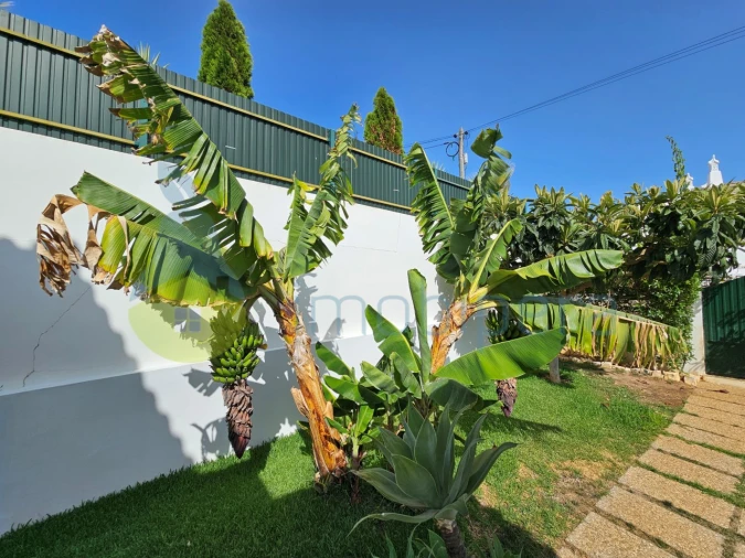 Moradia T4 para Venda em Guia Foto 11