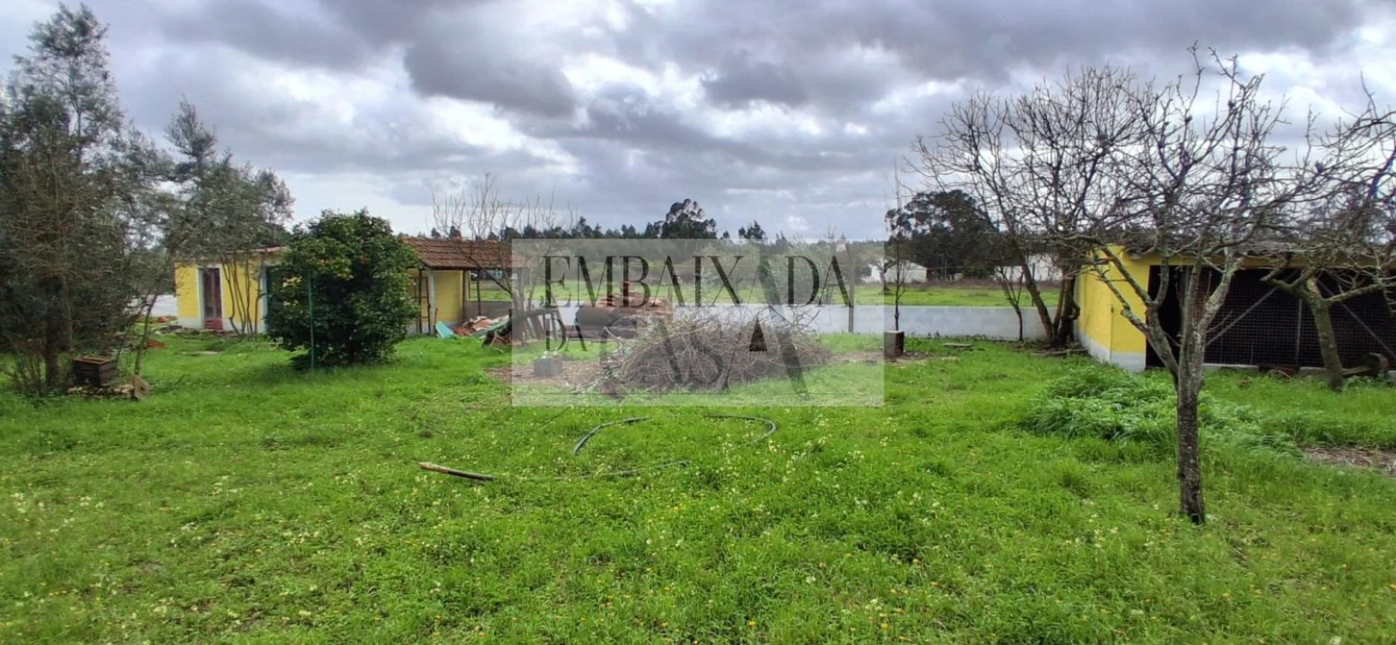 Moradia T3 para Venda em Glória do Ribatejo e Granho Foto 55