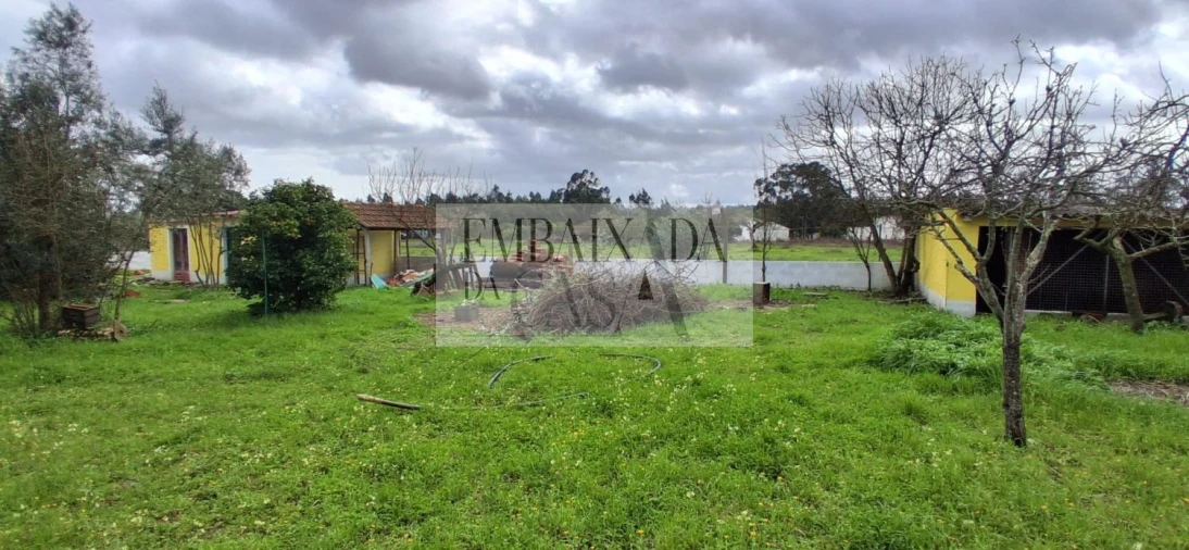 Moradia T3 para Venda em Glória do Ribatejo e Granho Foto 55