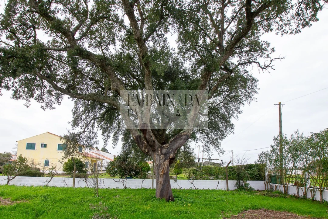 Moradia T3 para Venda em Glória do Ribatejo e Granho Foto 14