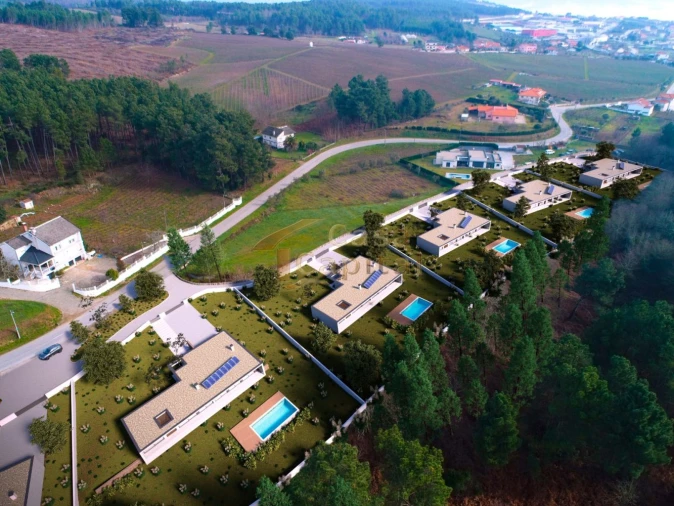 Terreno para Venda em Paços Foto 7