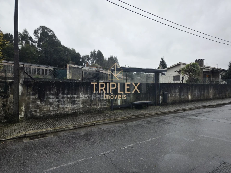 Loja para Venda em Nogueira e Silva Escura Foto 12